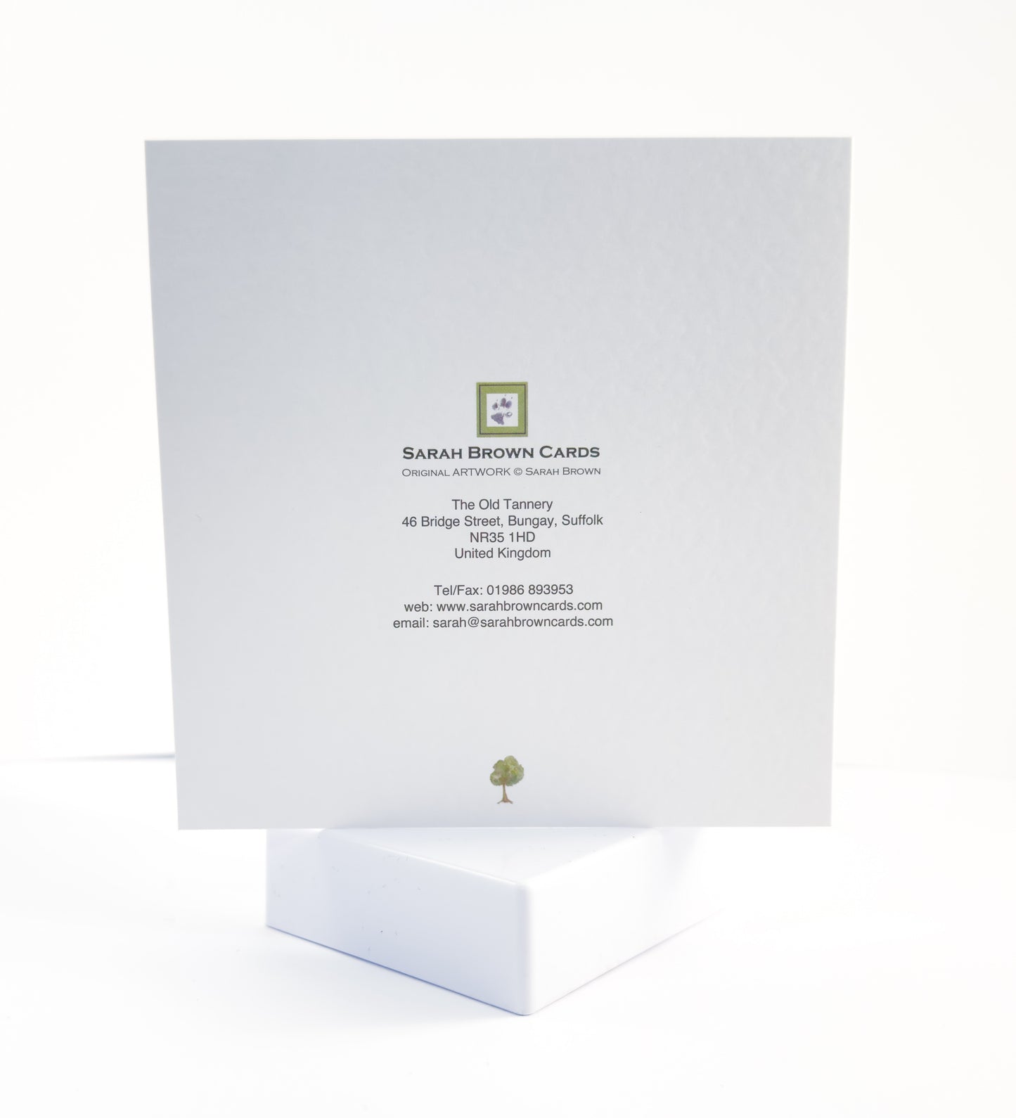 CD03 Cat Paws Card