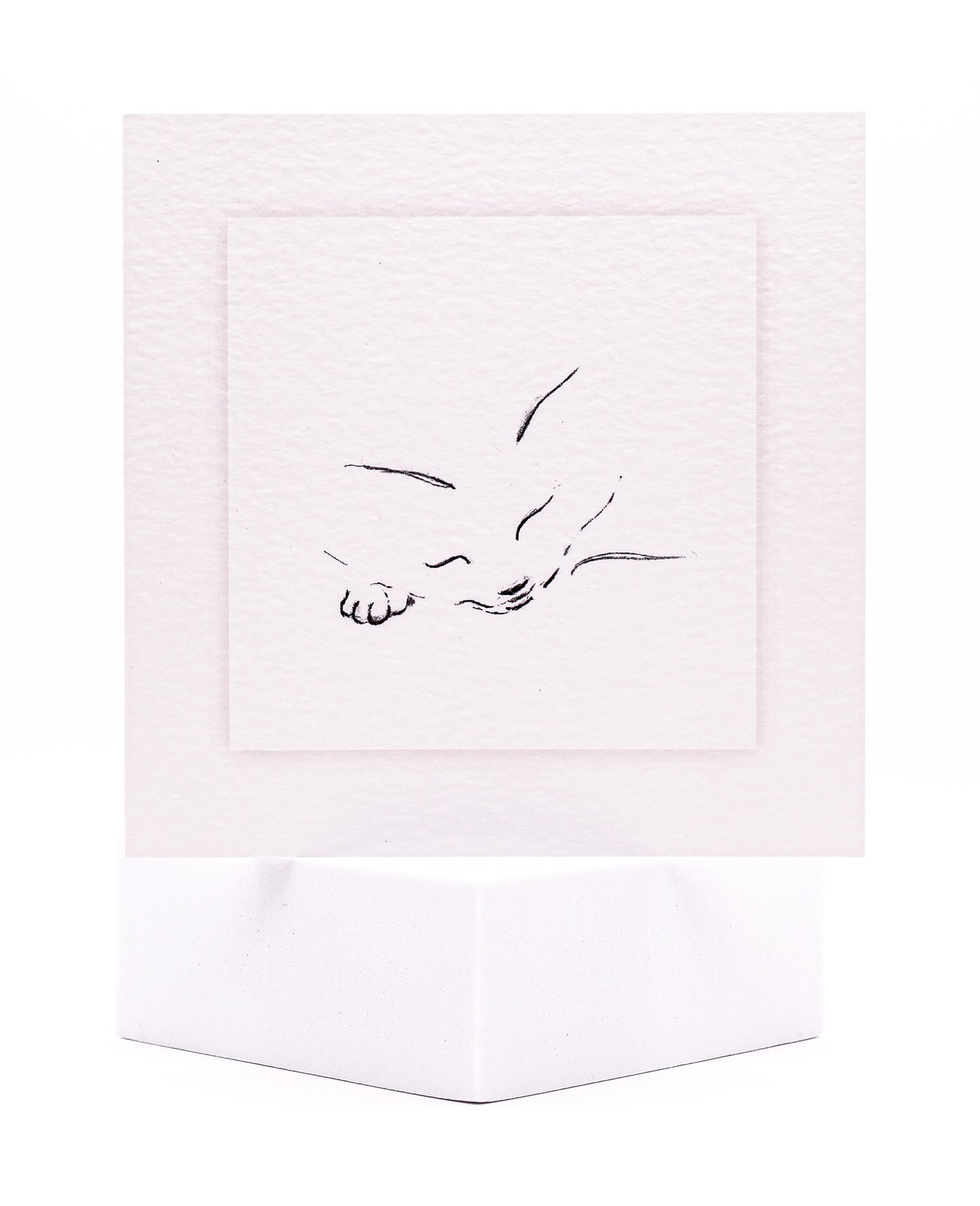 Sketch of a Sleeping Cat Pet Sympathy Card by Sarah Brown Cards