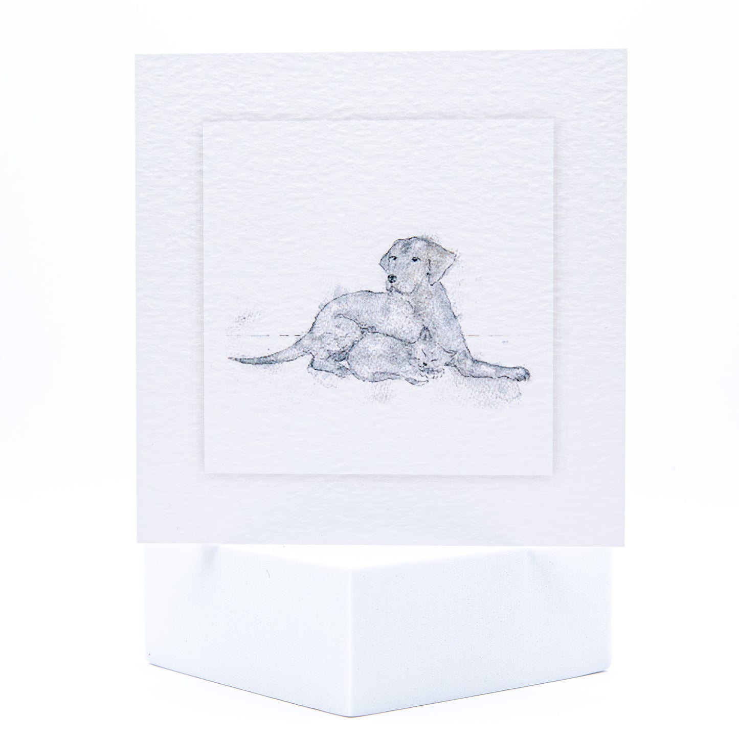 Sketch of a cat and dog pet sympathy card by Sarah Brown Cards
