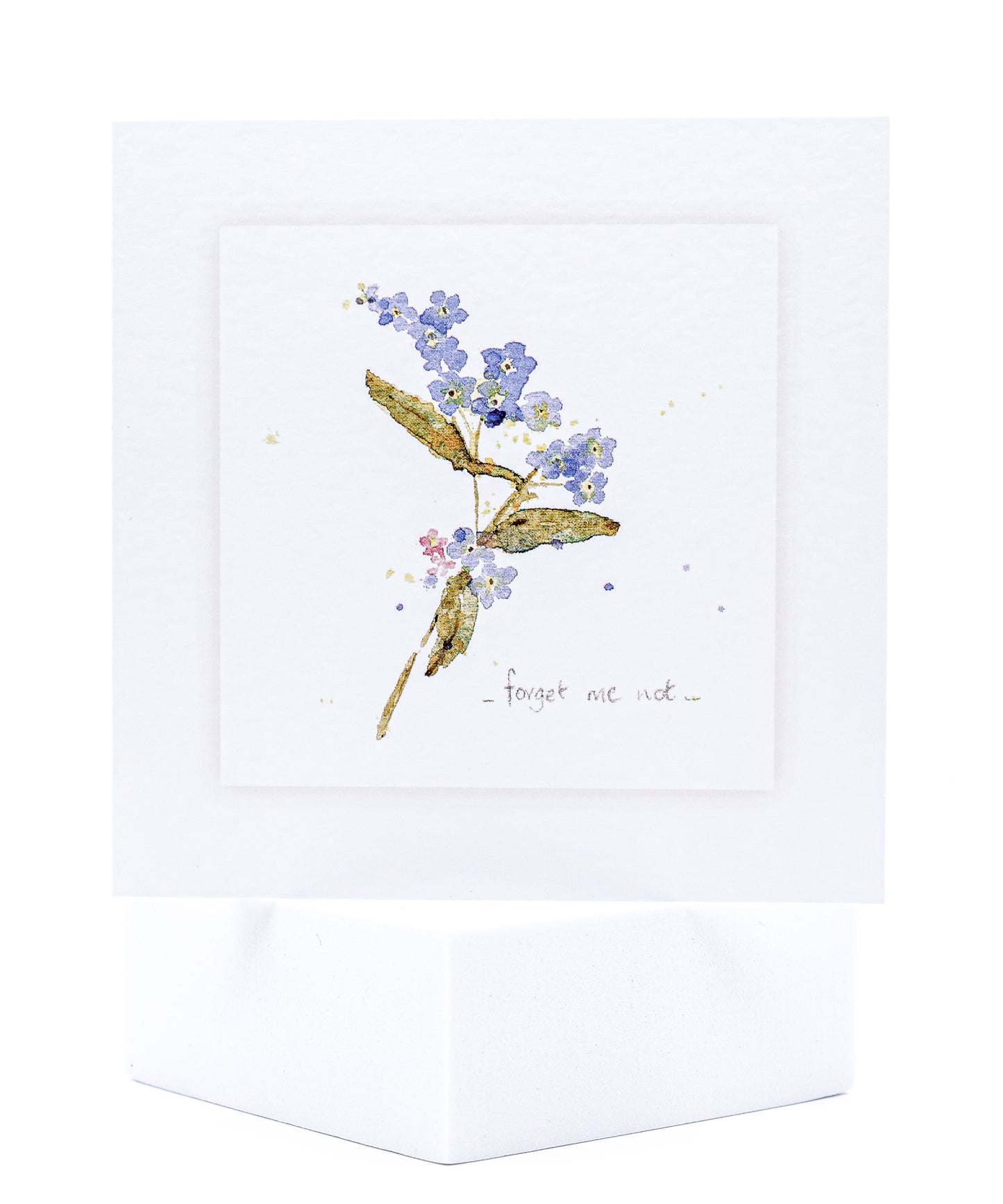 GEN02 Forget Me Nots