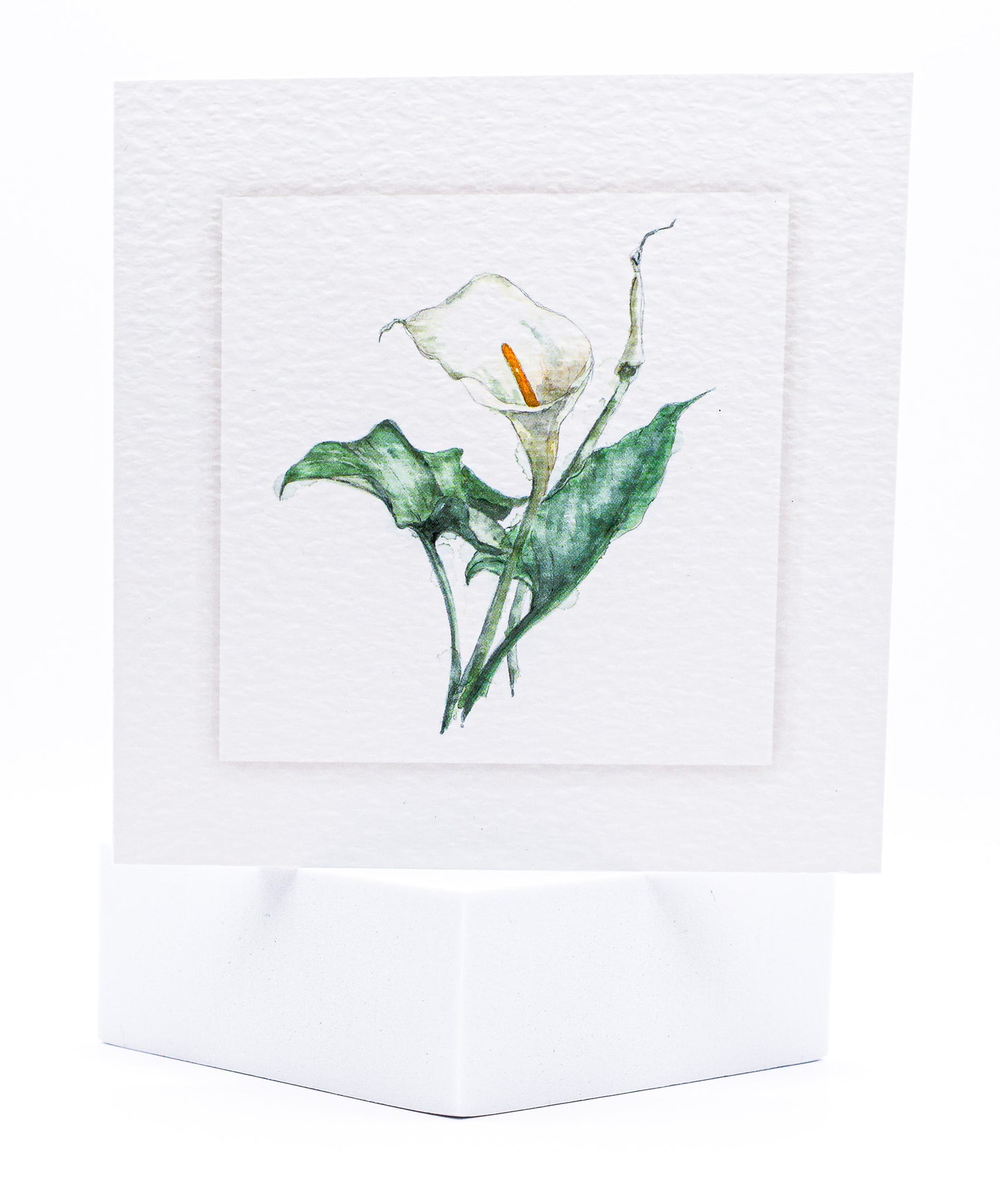Lily pet sympathy card by Sarah Brown Cards
