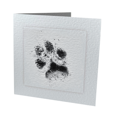 BFC01 Blank Framed Card