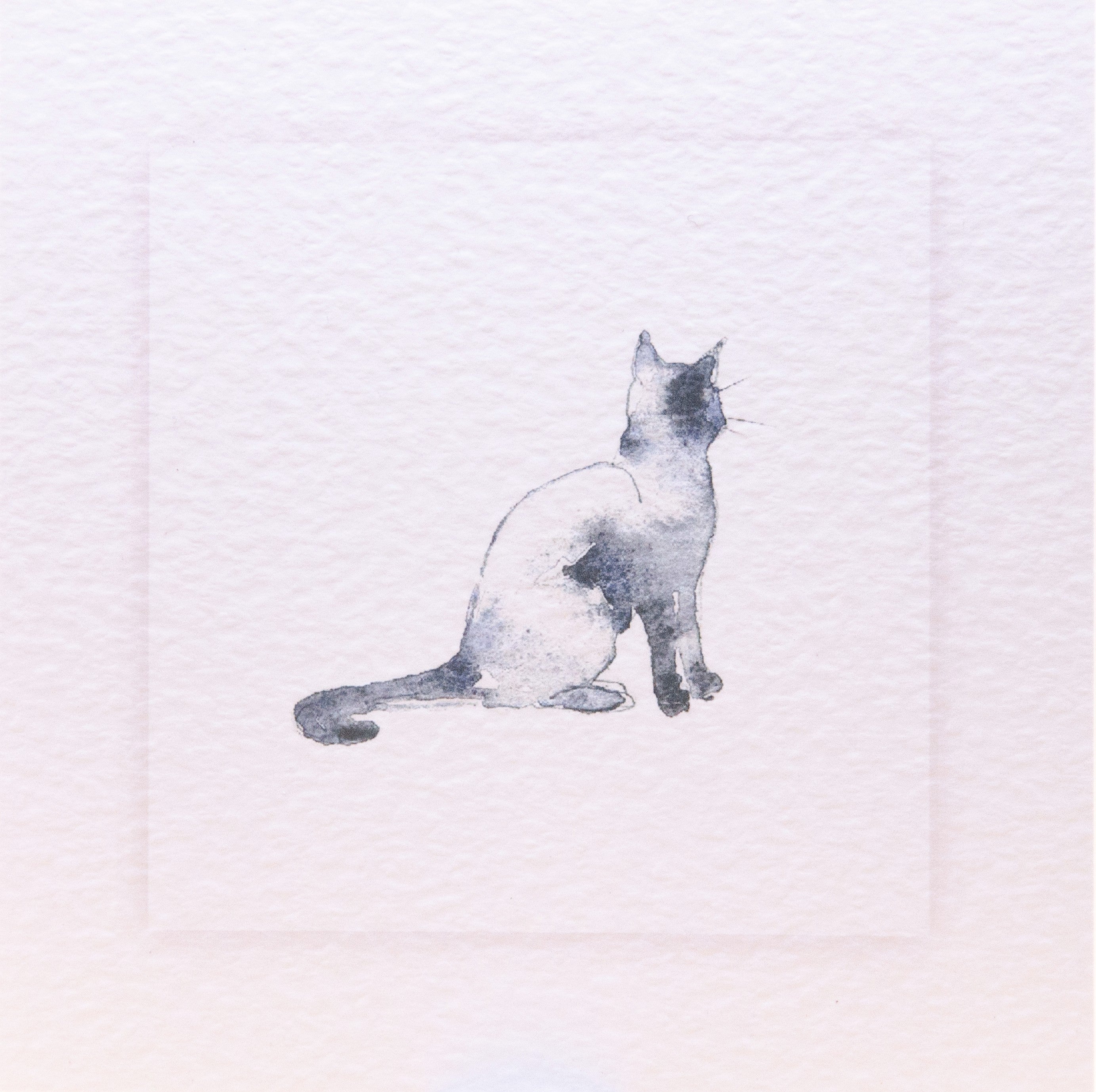 Watercolour Sitting Cat Pet Sympathy Card by Sarah Brown Cards