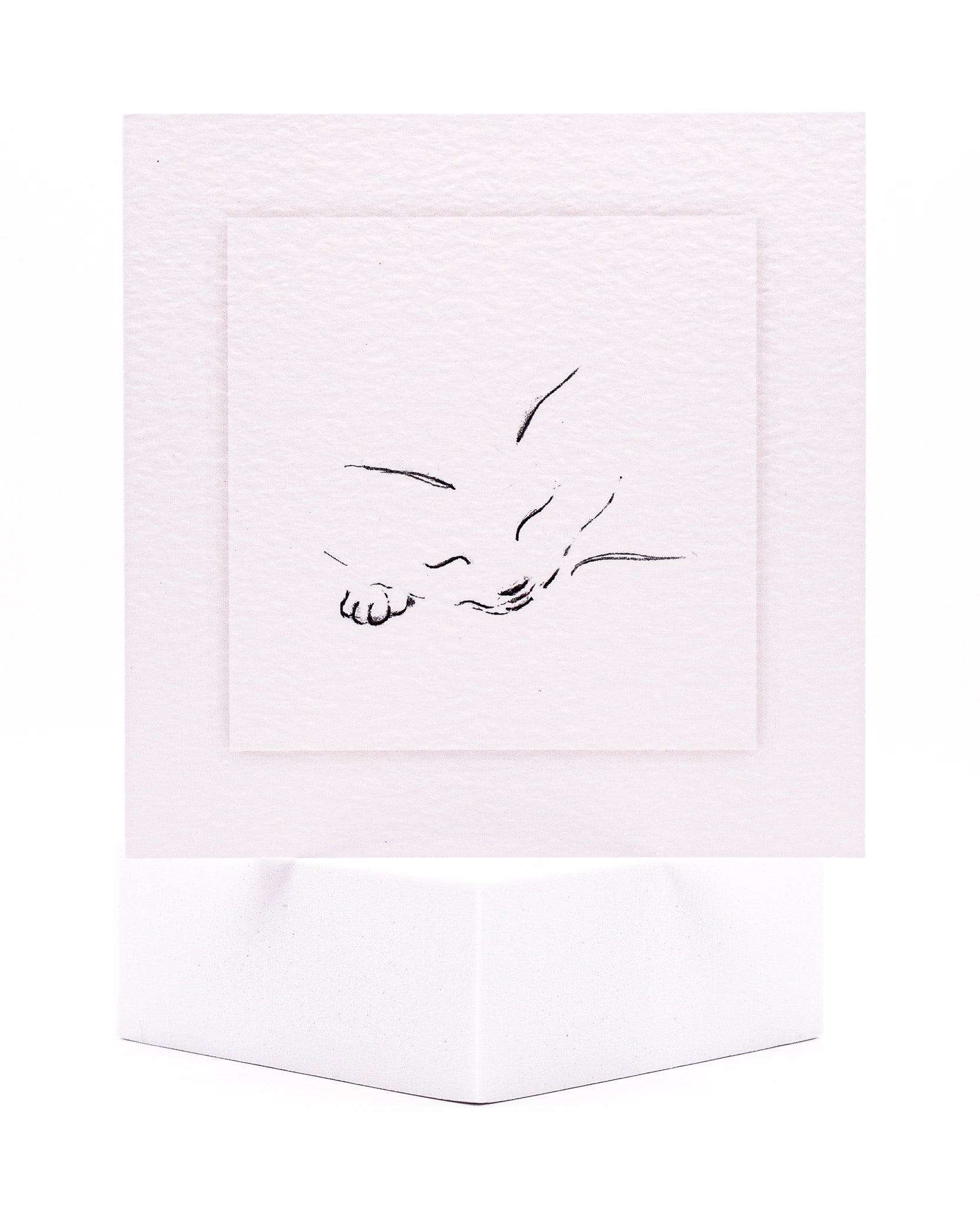 Sketch of a Sleeping Cat Pet Sympathy Card by Sarah Brown Cards