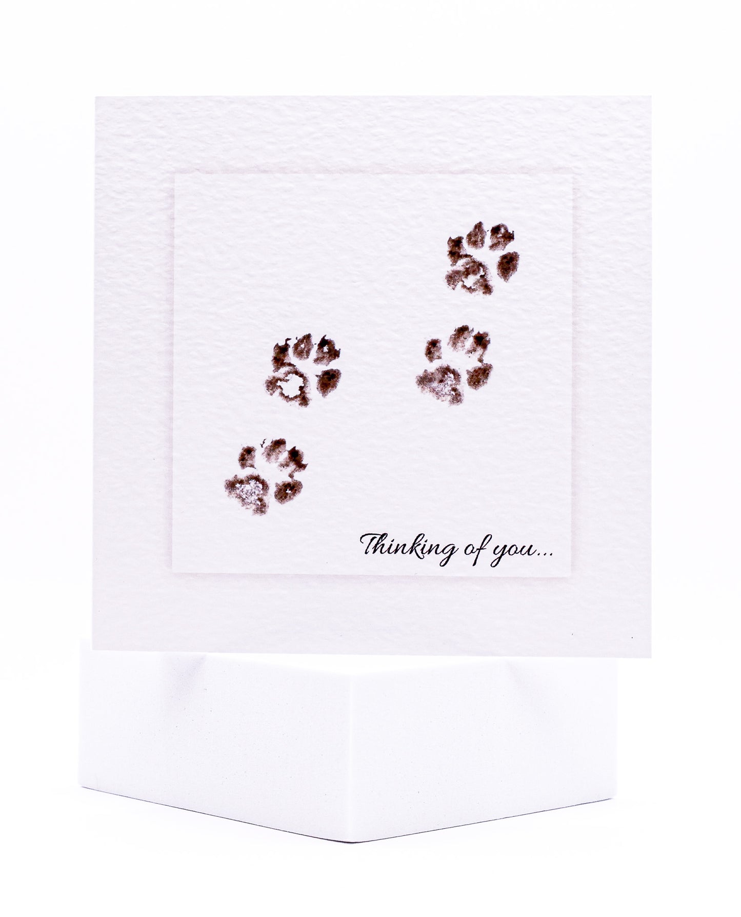 Four Paws Thinking of You Pet Sympathy Card by Sarah Brown Cards