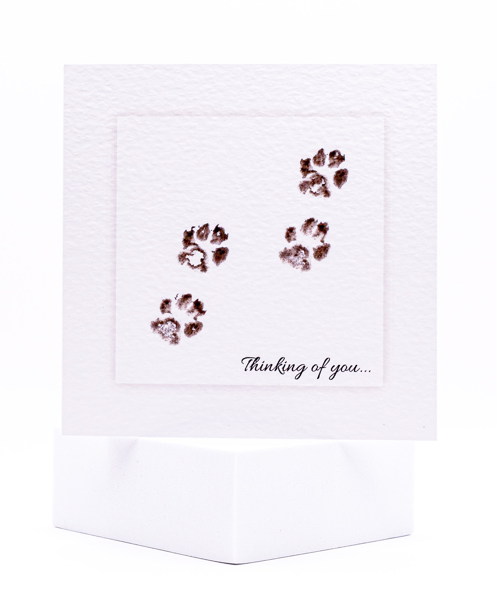 Four Paws Thinking of You Pet Sympathy Card by Sarah Brown Cards