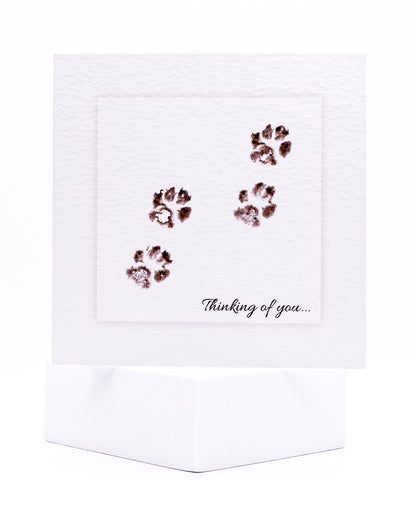 Four Paws Thinking of You Pet Sympathy Card by Sarah Brown Cards