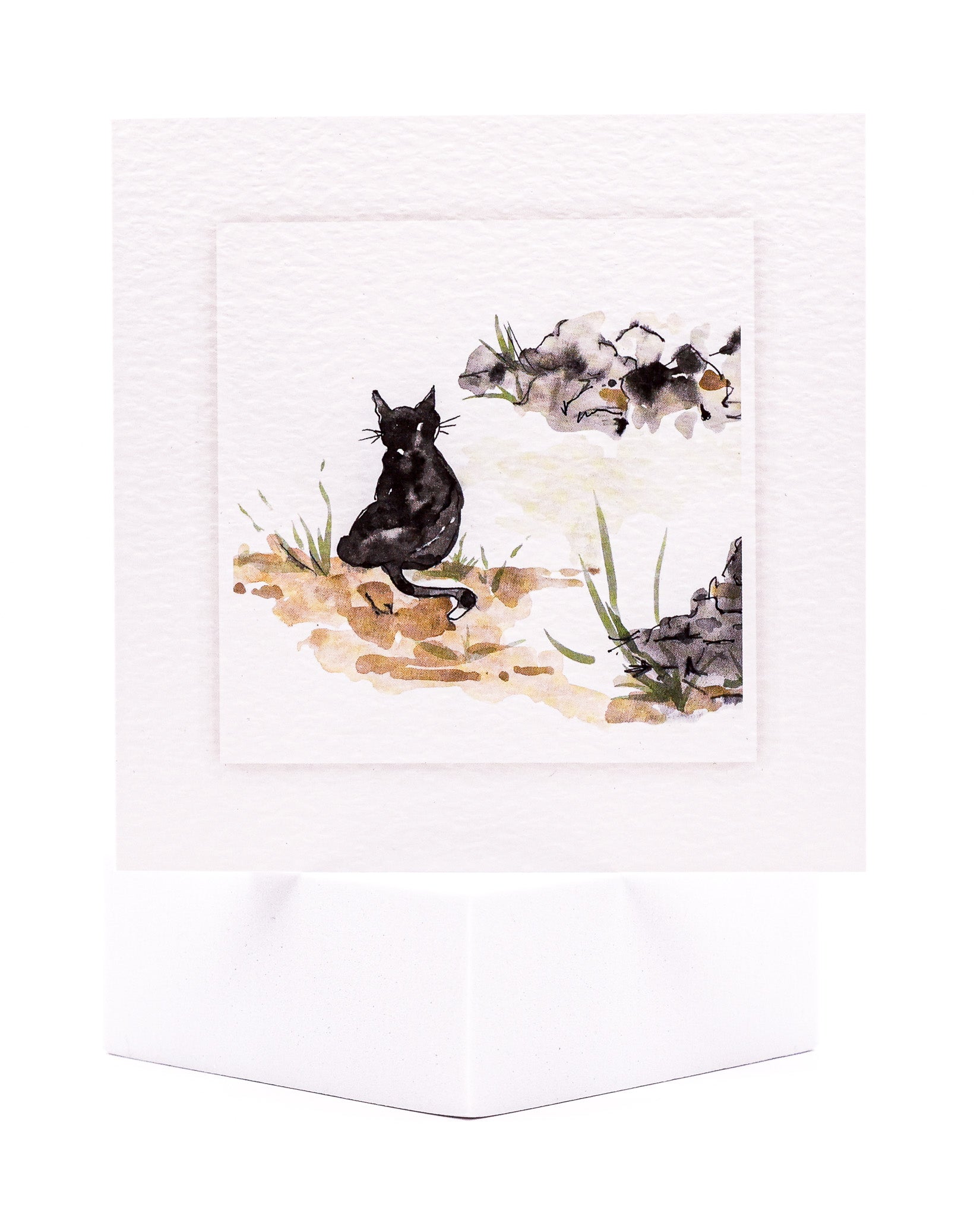 Outdoor Cat pet sympathy card by Sarah Brown Cards