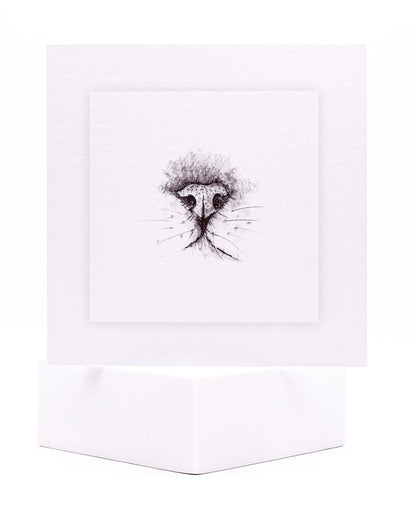 Cat's Nose pet sympathy card by Sarah Brown Cards