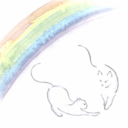 C12 Cat Under the Rainbow