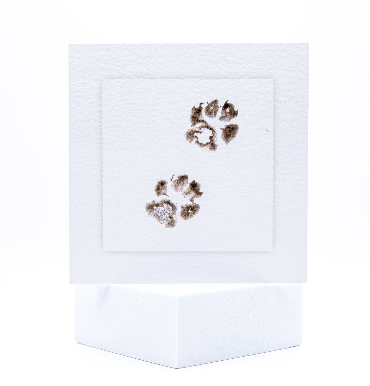 TWO Cat Paws Pet Sympathy Card by Sarah Brown Cards