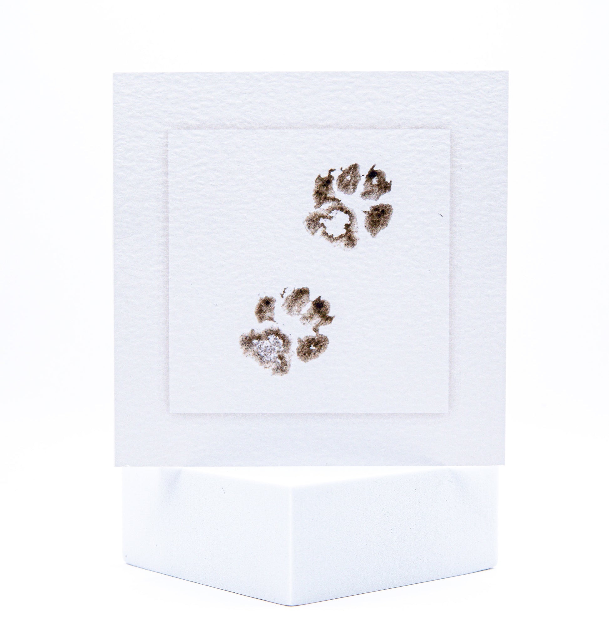 TWO Cat Paws Pet Sympathy Card by Sarah Brown Cards