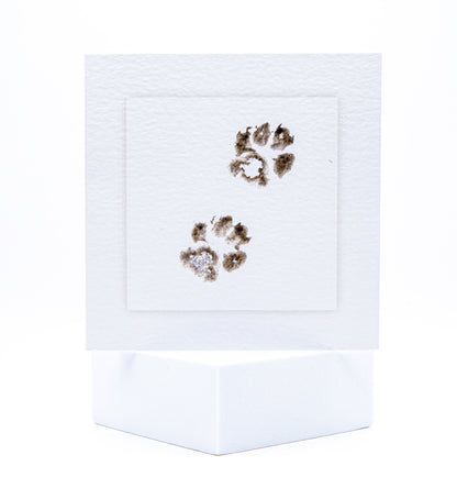TWO Cat Paws Pet Sympathy Card by Sarah Brown Cards