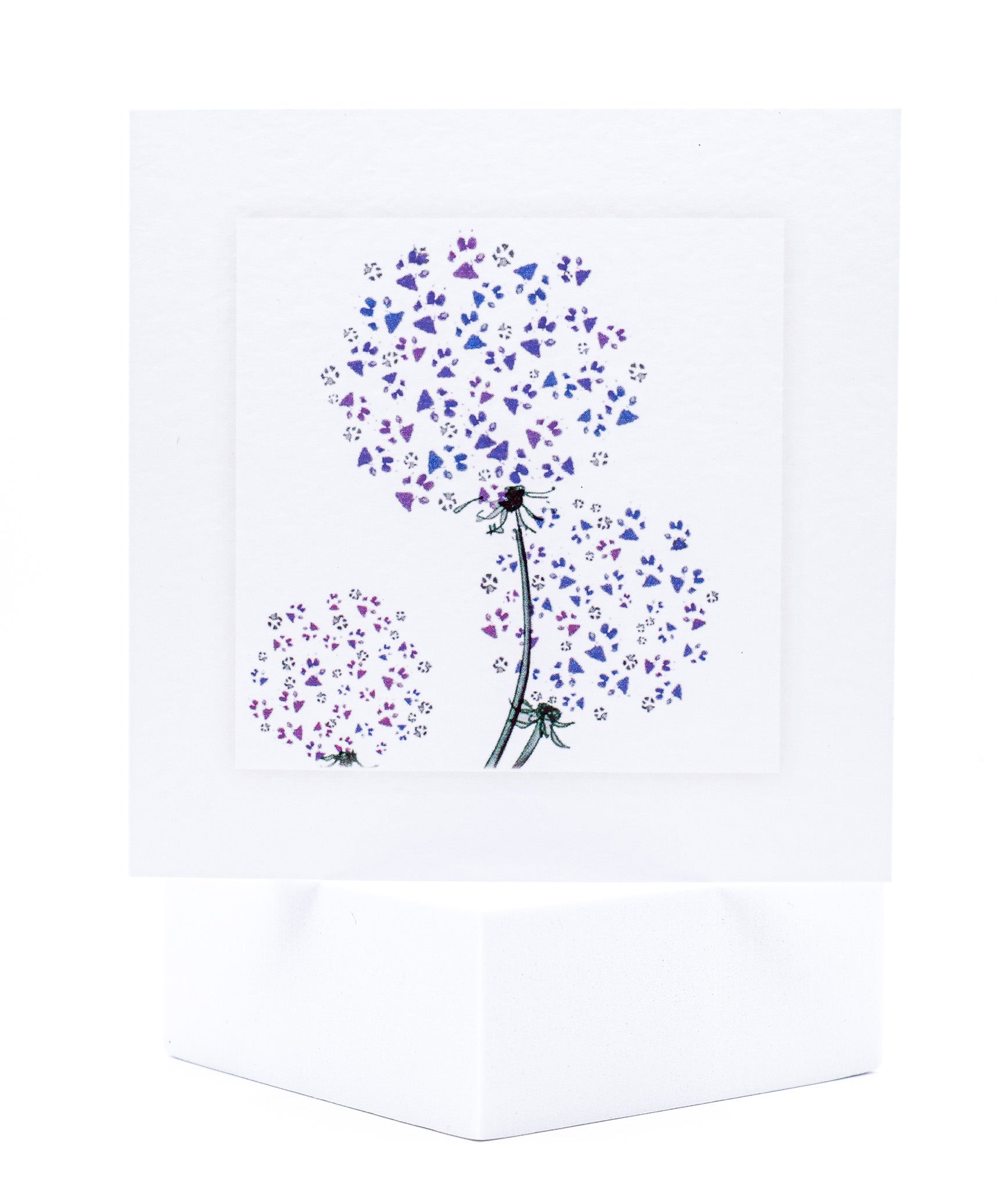 Flower of Paw prints pet sympathy card by Sarah Brown Cards