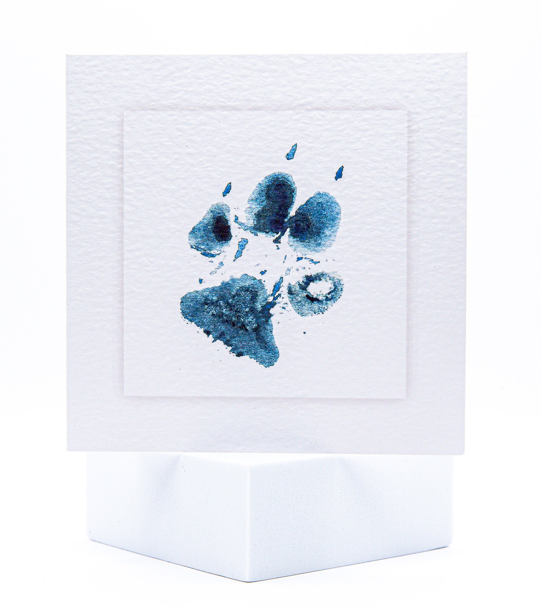 Dog Paw Pet Sympathy Card by Sarah Brown Cards