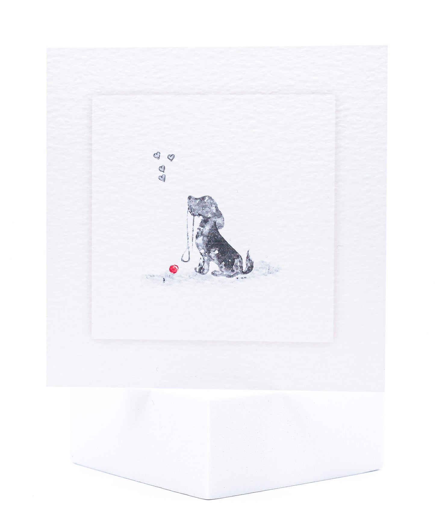 SCAR01 Dog Seeded Cards