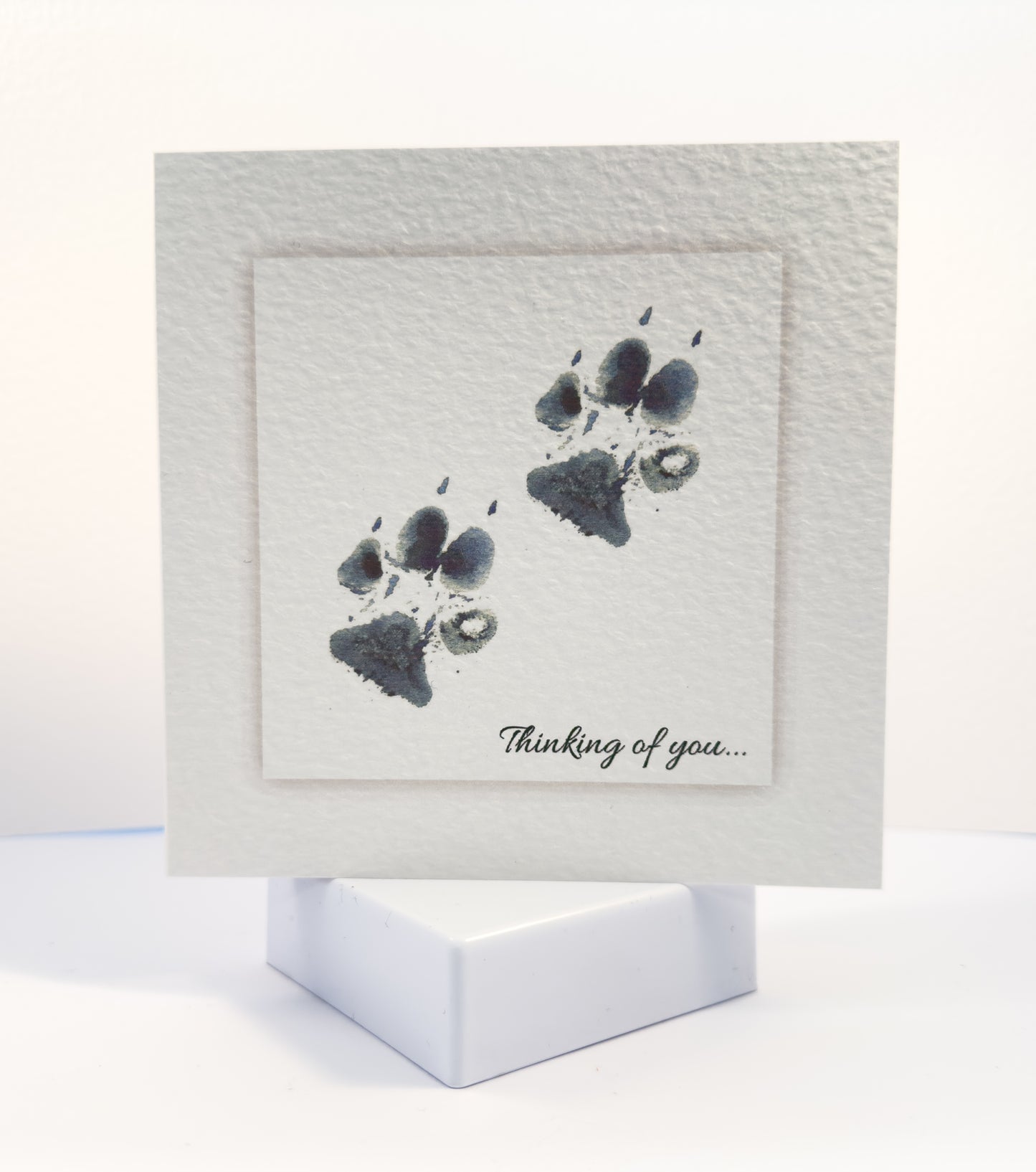 D09 Two Paws Thinking of You Card