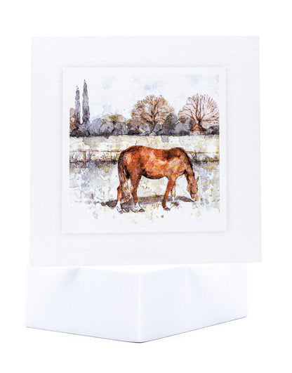 SINS01 Equine Seeded Inserts