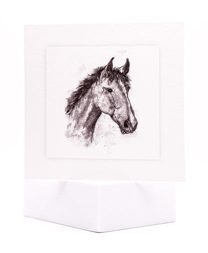 SINS01 Equine Seeded Inserts