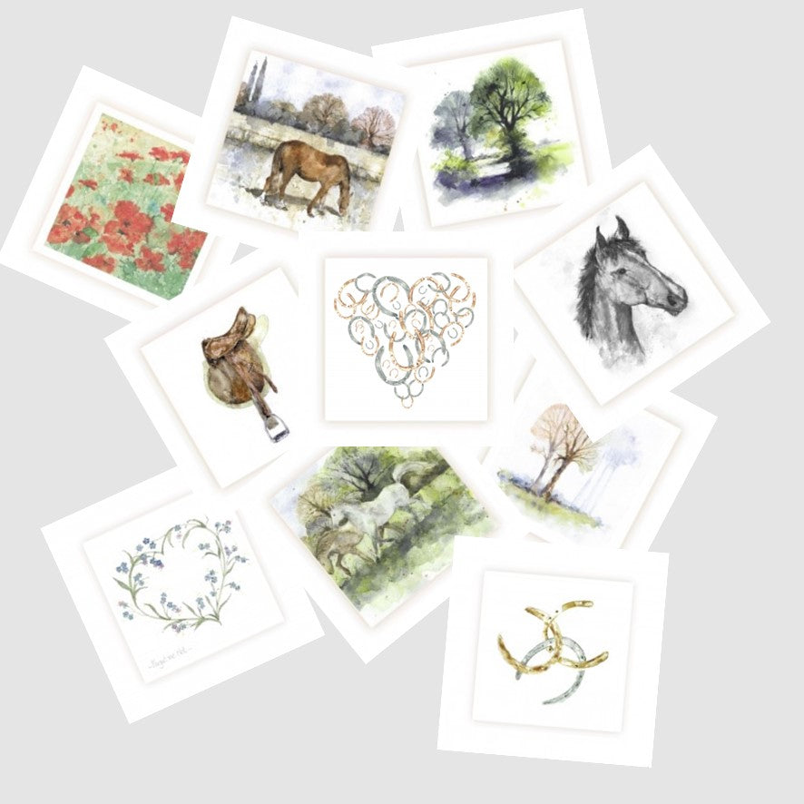 MIX2 Equine and Countryside Mix