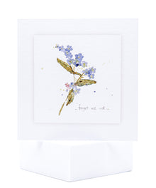GEN02 Forget Me Nots