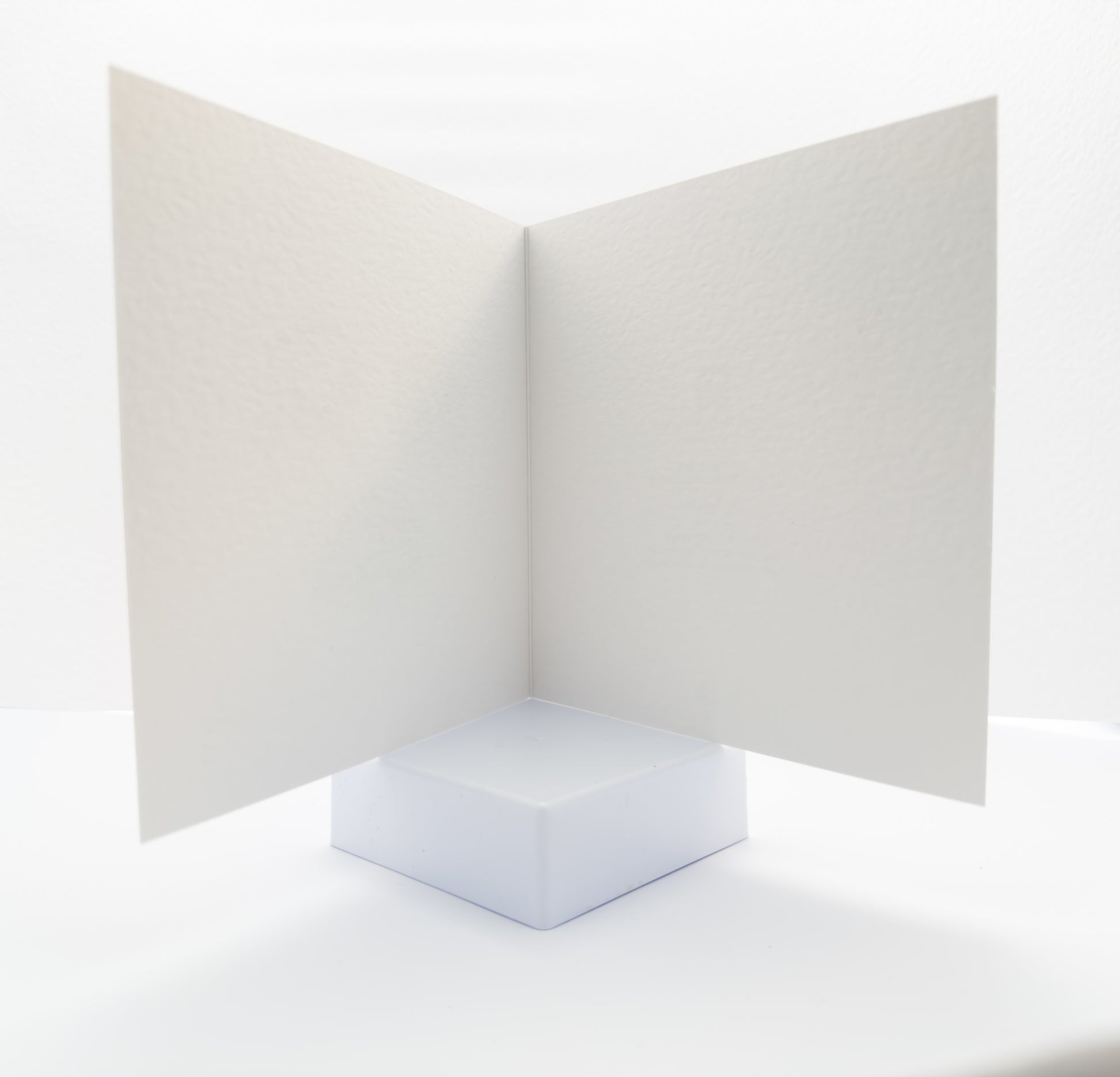Photo of the inside of a blank greeting card 