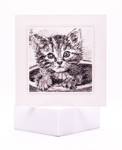 KIT01 New Kitten Card