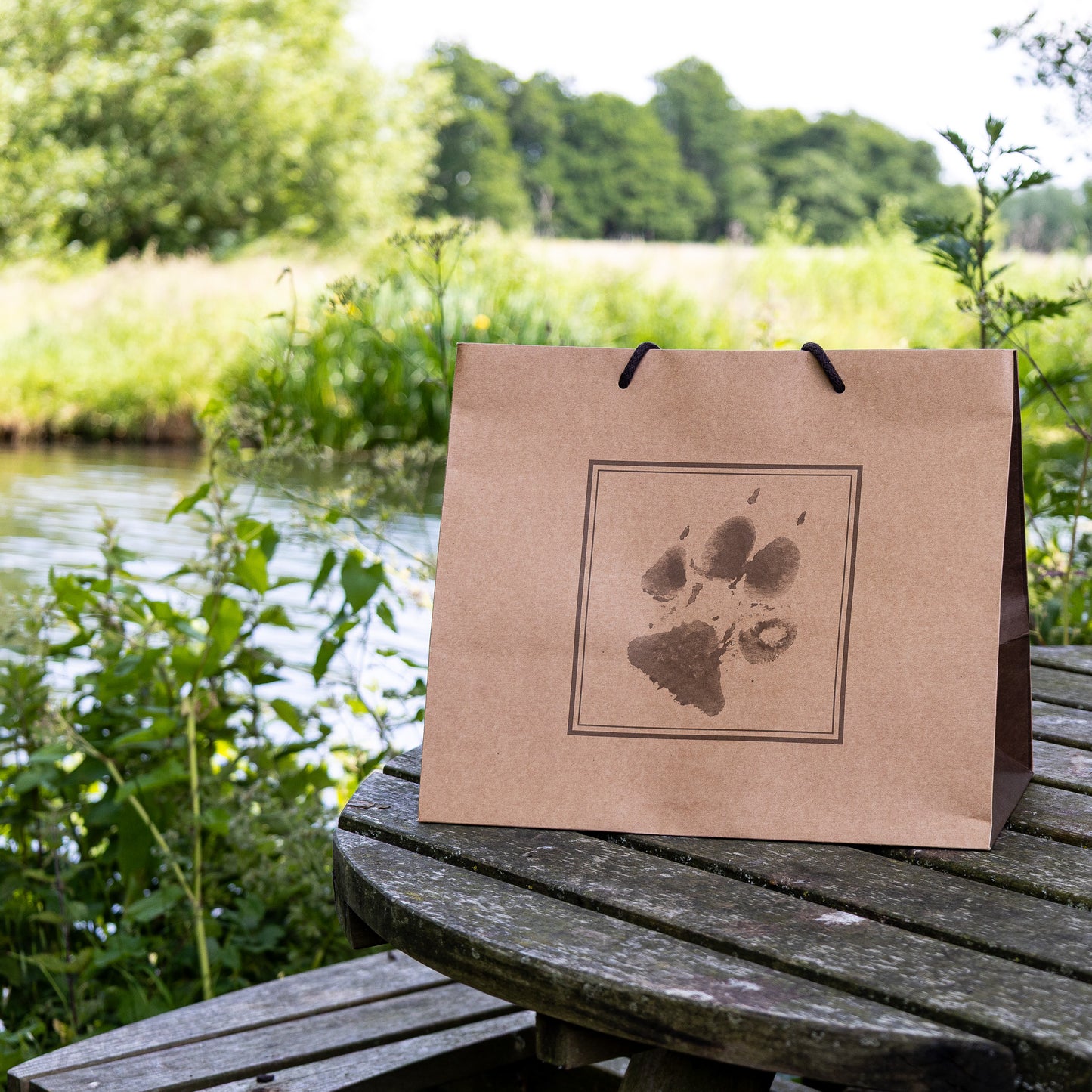 PCBD Pet Casket Bag - Deluxe