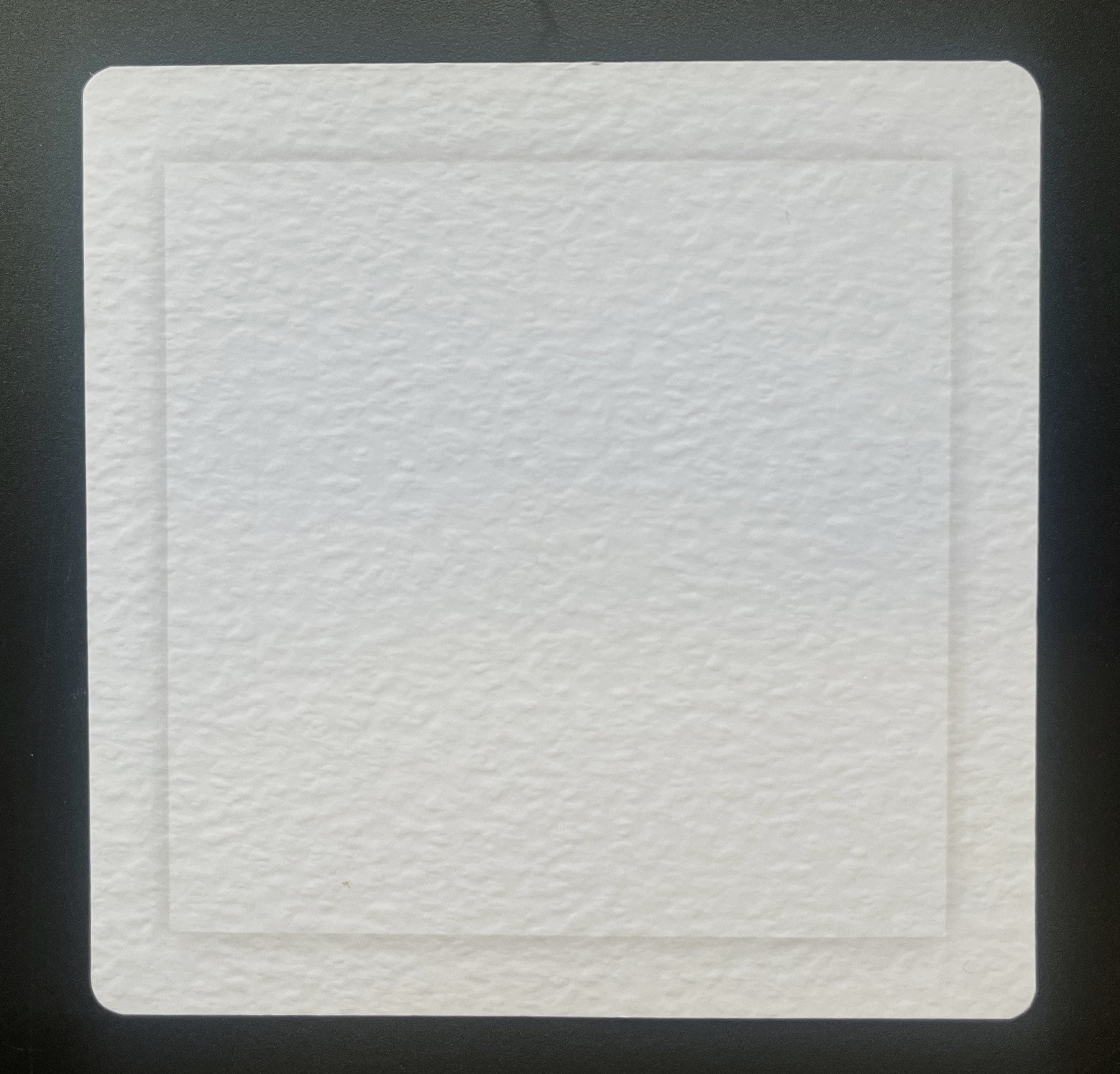 PPP01 - Pet Paw Print