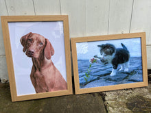 Photographic Pet Portrait by Sarah Brown Cards