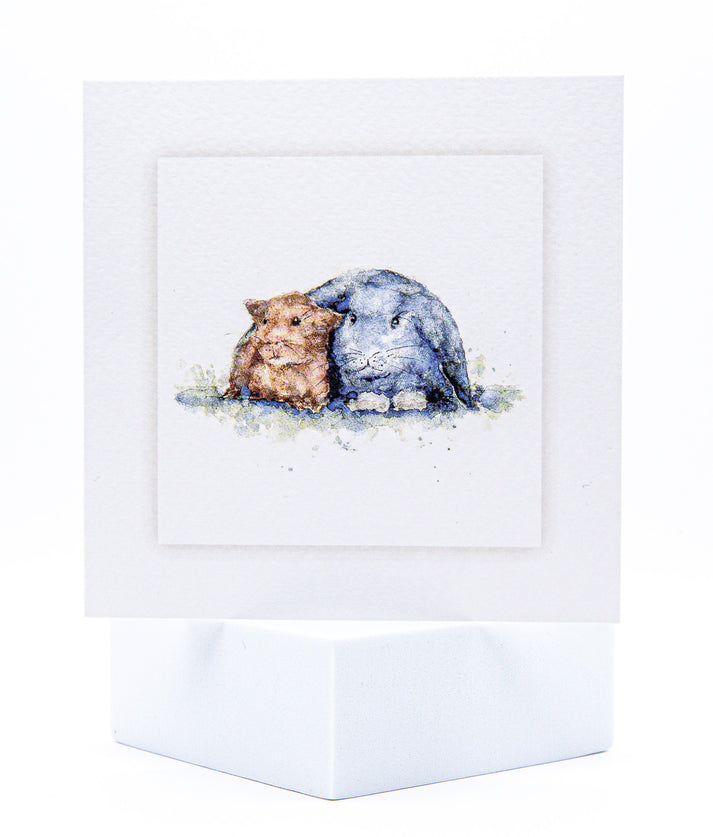 Animal Rabbit Cards SA01 Rabbit and Guinea Pig Card β Sarah Brown Cards