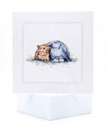 SINS01 Small Animals and Exotics Seeded Inserts