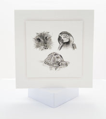 Pencil drawing of guinea pig, parrot and turtle