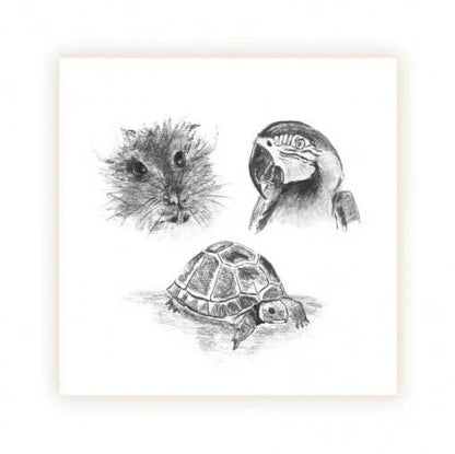 SCAR01 Small Animals and Exotics Seeded Cards