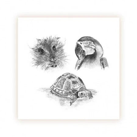 SINS01 Small Animals and Exotics Seeded Inserts