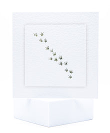 SCAR01 Small Animals and Exotics Seeded Cards