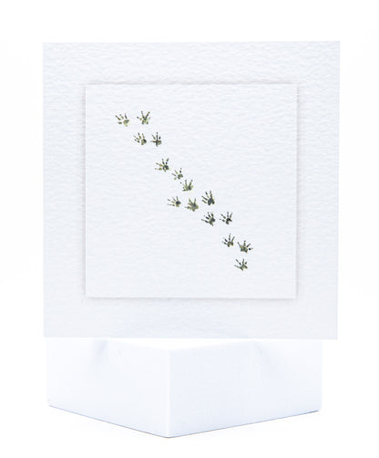 SCAR01 Small Animals and Exotics Seeded Cards