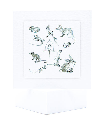 SA05 Exotic Pet Mix Card