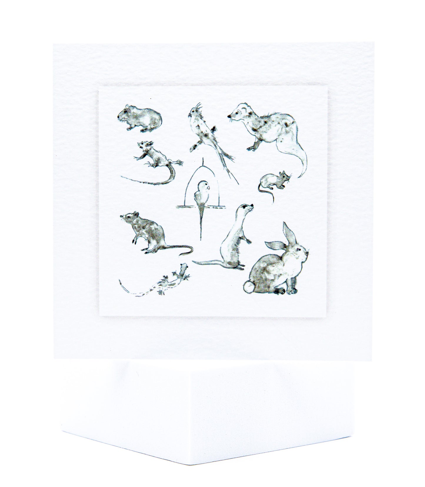 SINS01 Small Animals and Exotics Seeded Inserts