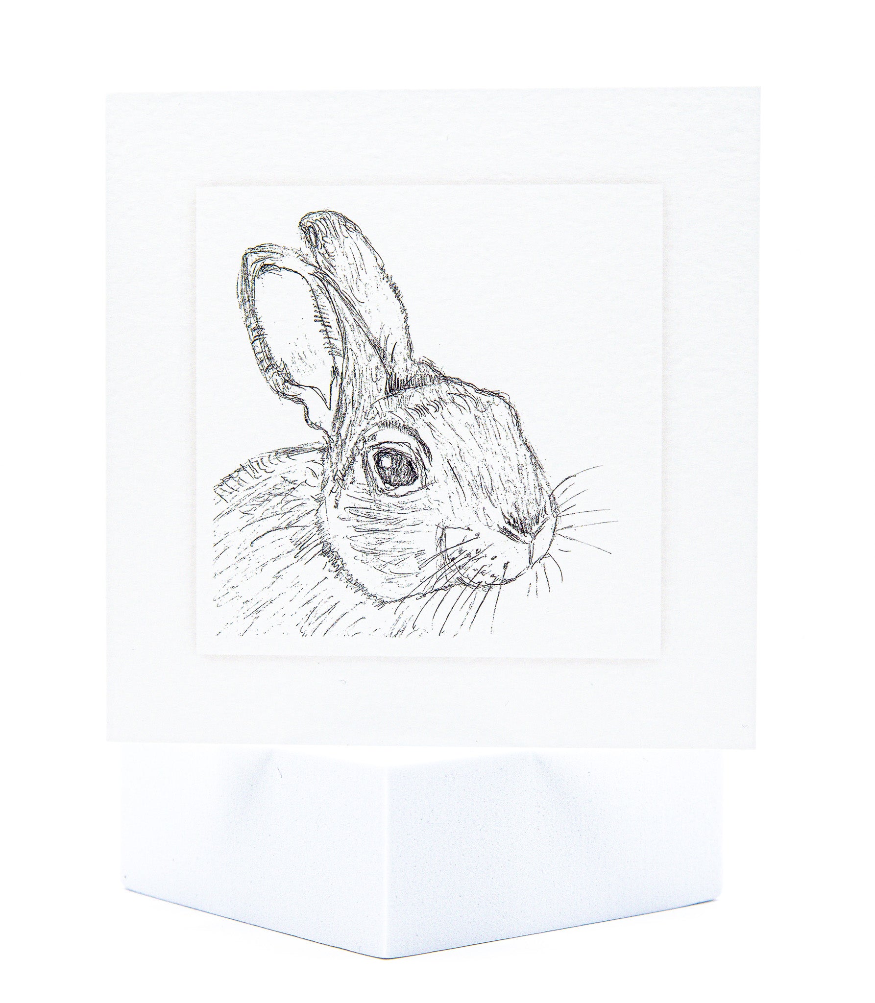 Rabbit pet sympahy card by Sarah Brown Cards