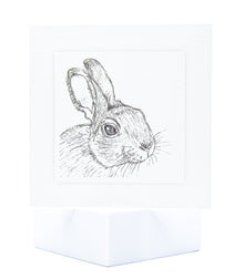Rabbit pet sympahy card by Sarah Brown Cards
