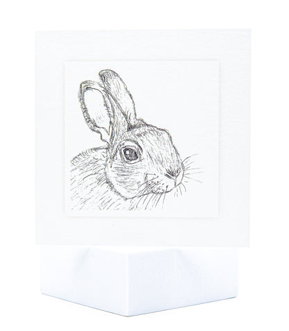 Rabbit pet sympahy card by Sarah Brown Cards