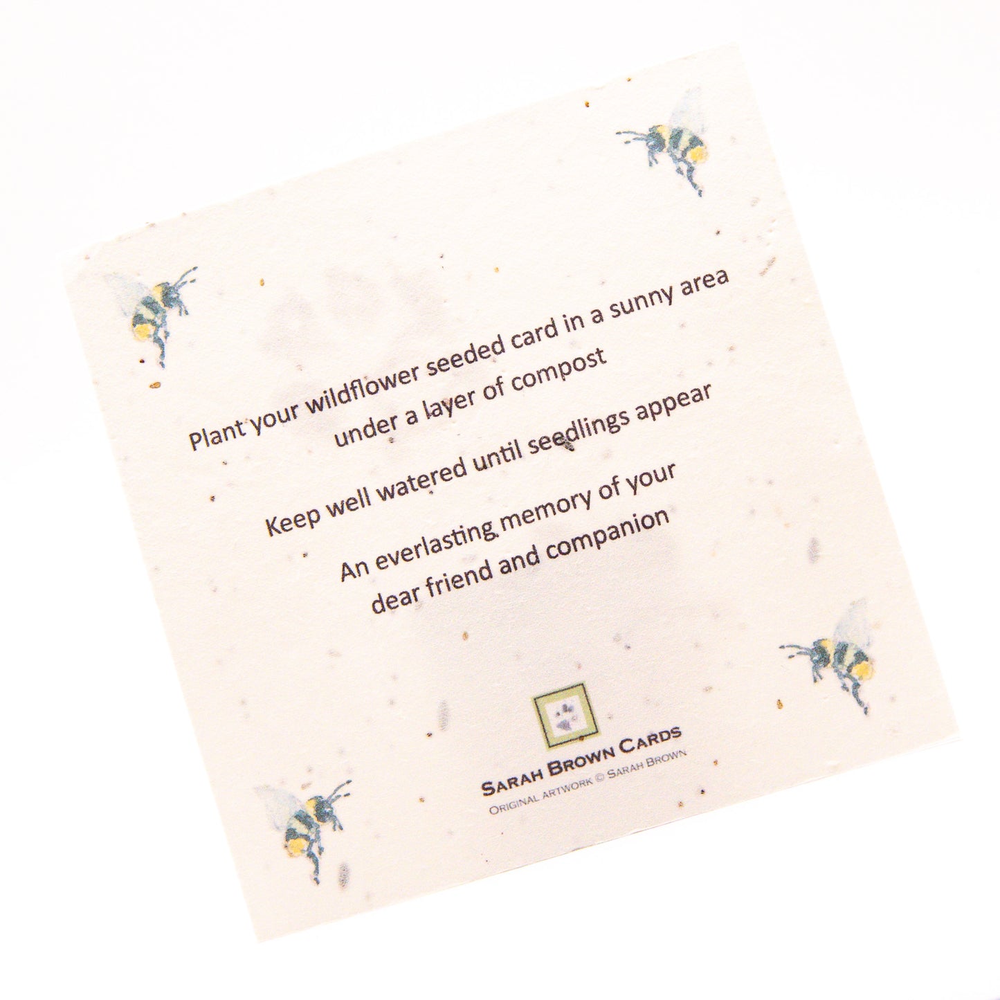 SINS01 Cat Seeded Inserts