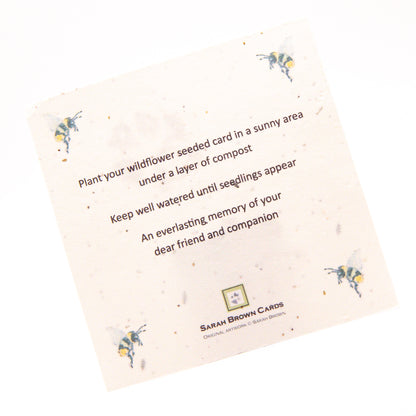 SINS01 Cat Seeded Inserts