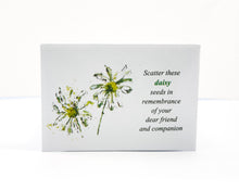 SIR04 Daisy Seeds