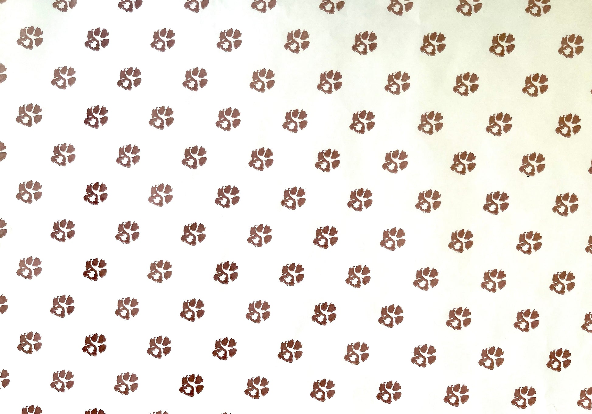 Paw Print Wrapping Paper by Sarah Brown Cards